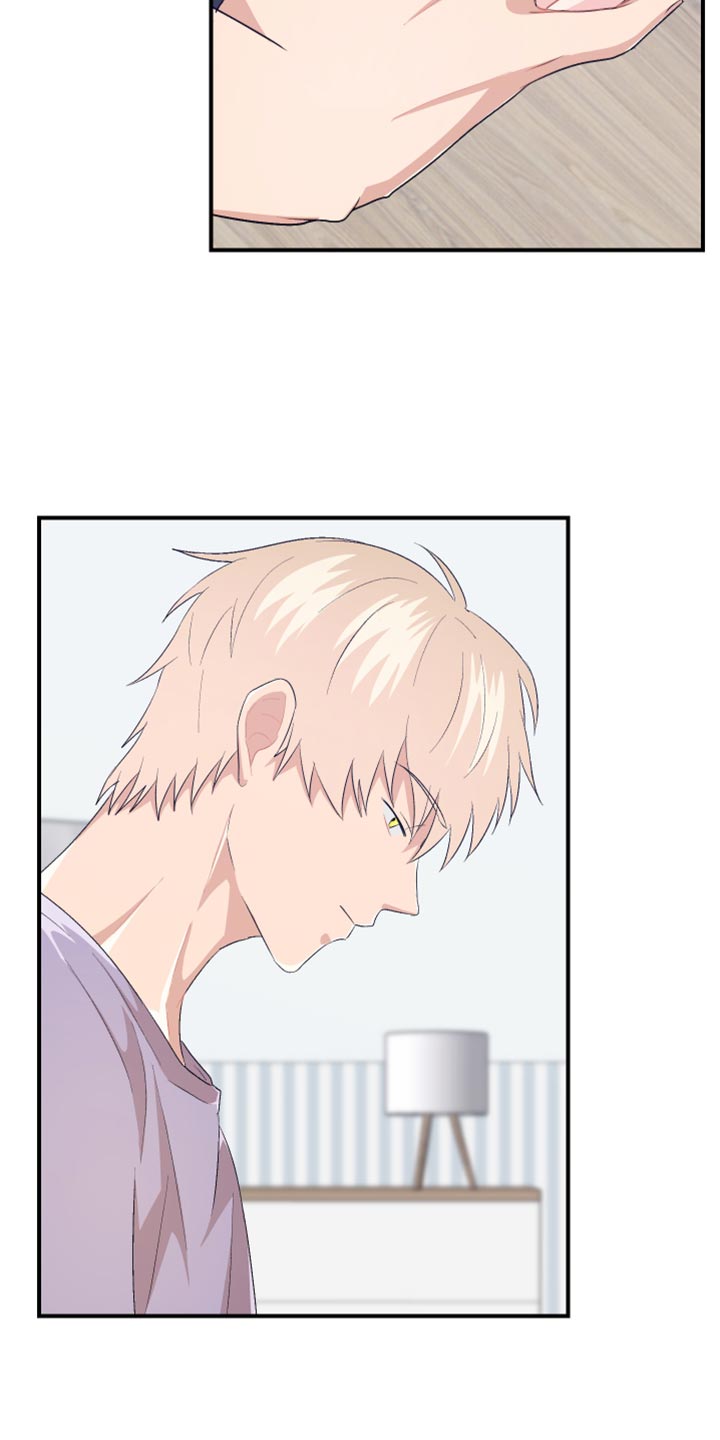 第42章：可爱的小狗4