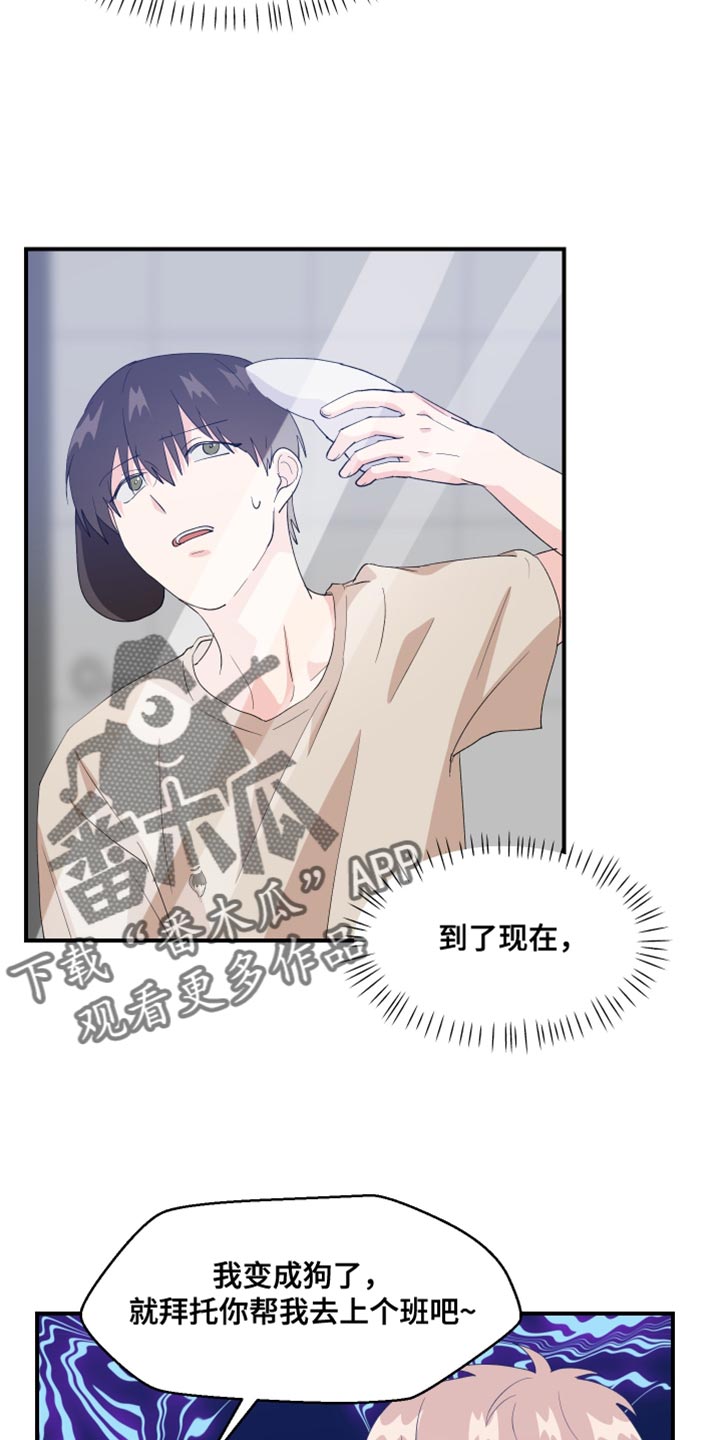 第33章：狗耳朵4