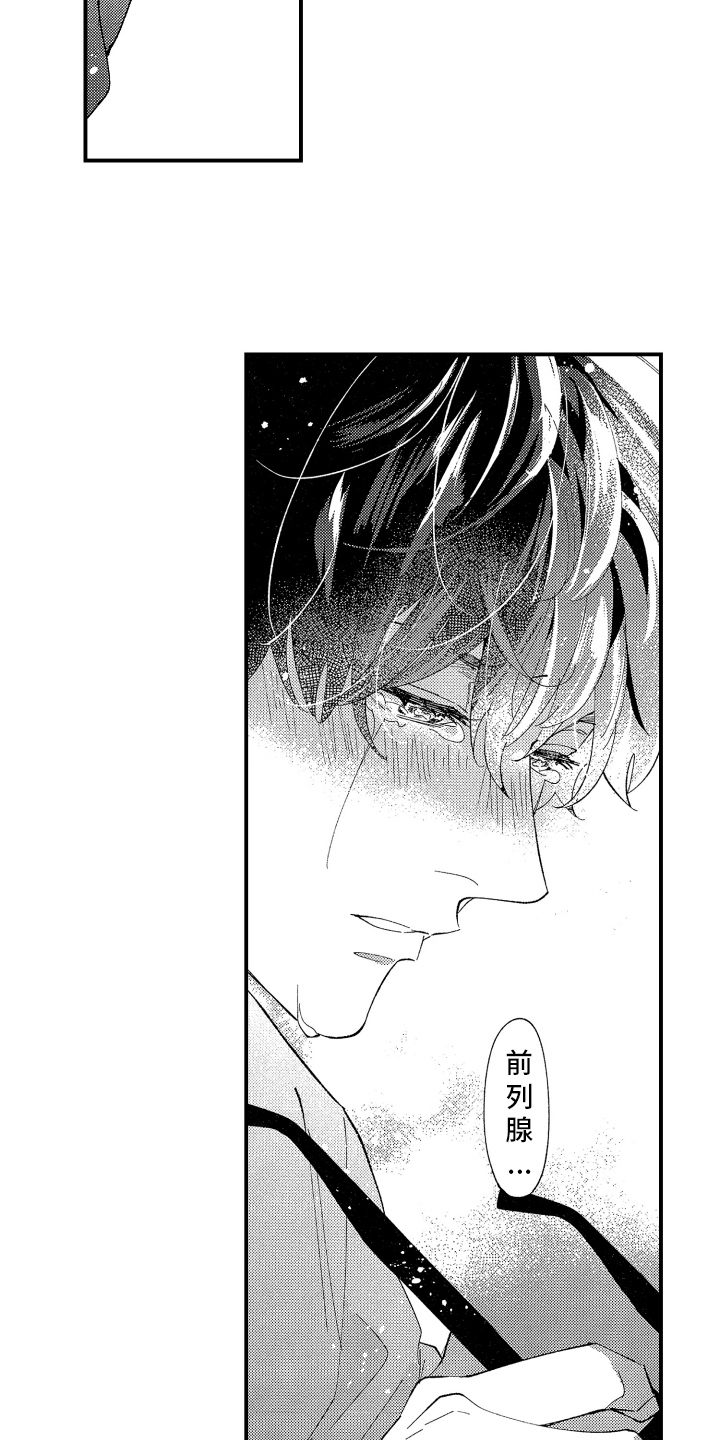 第3章：交给我2