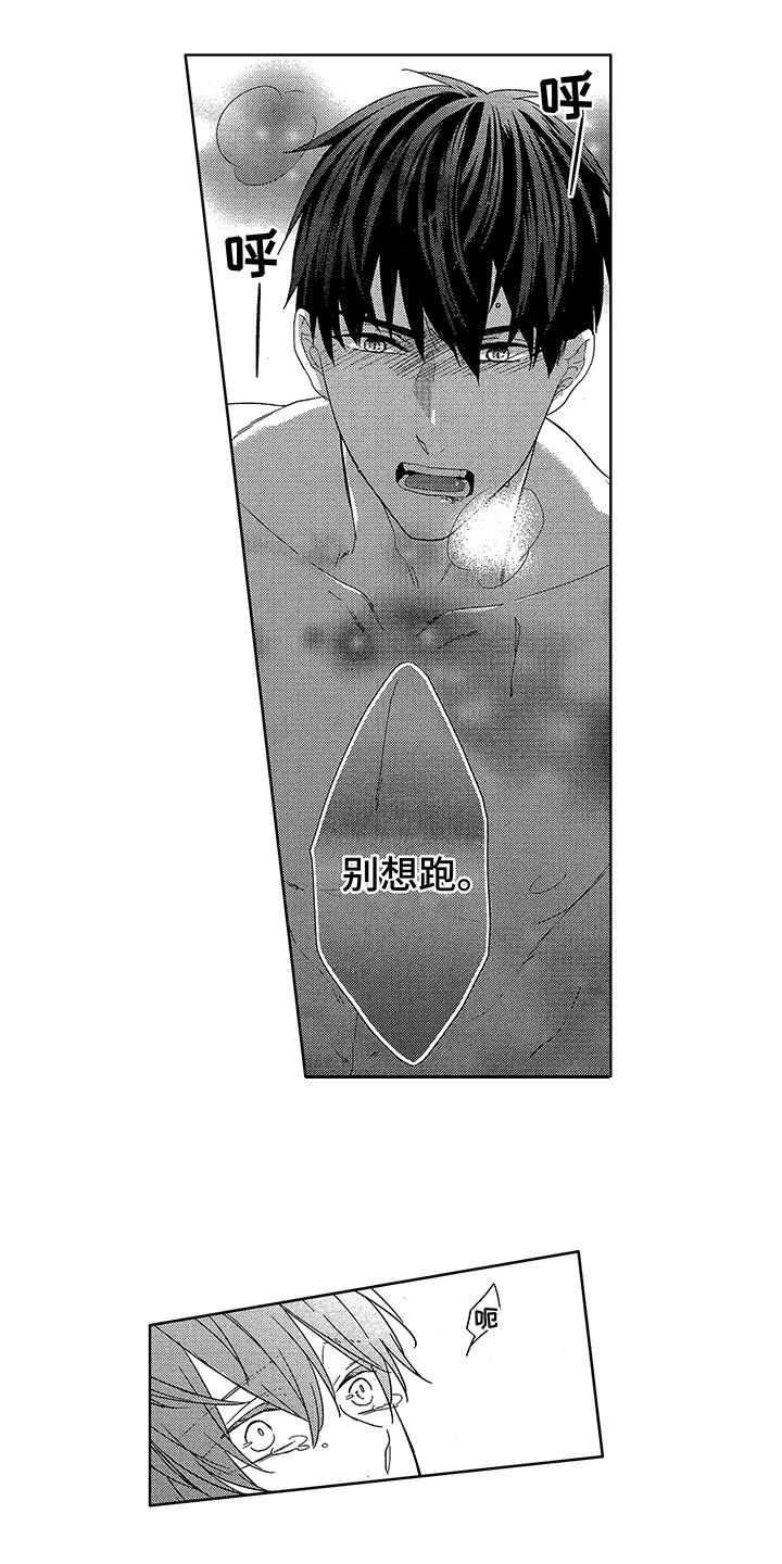 第21章：很幸福0