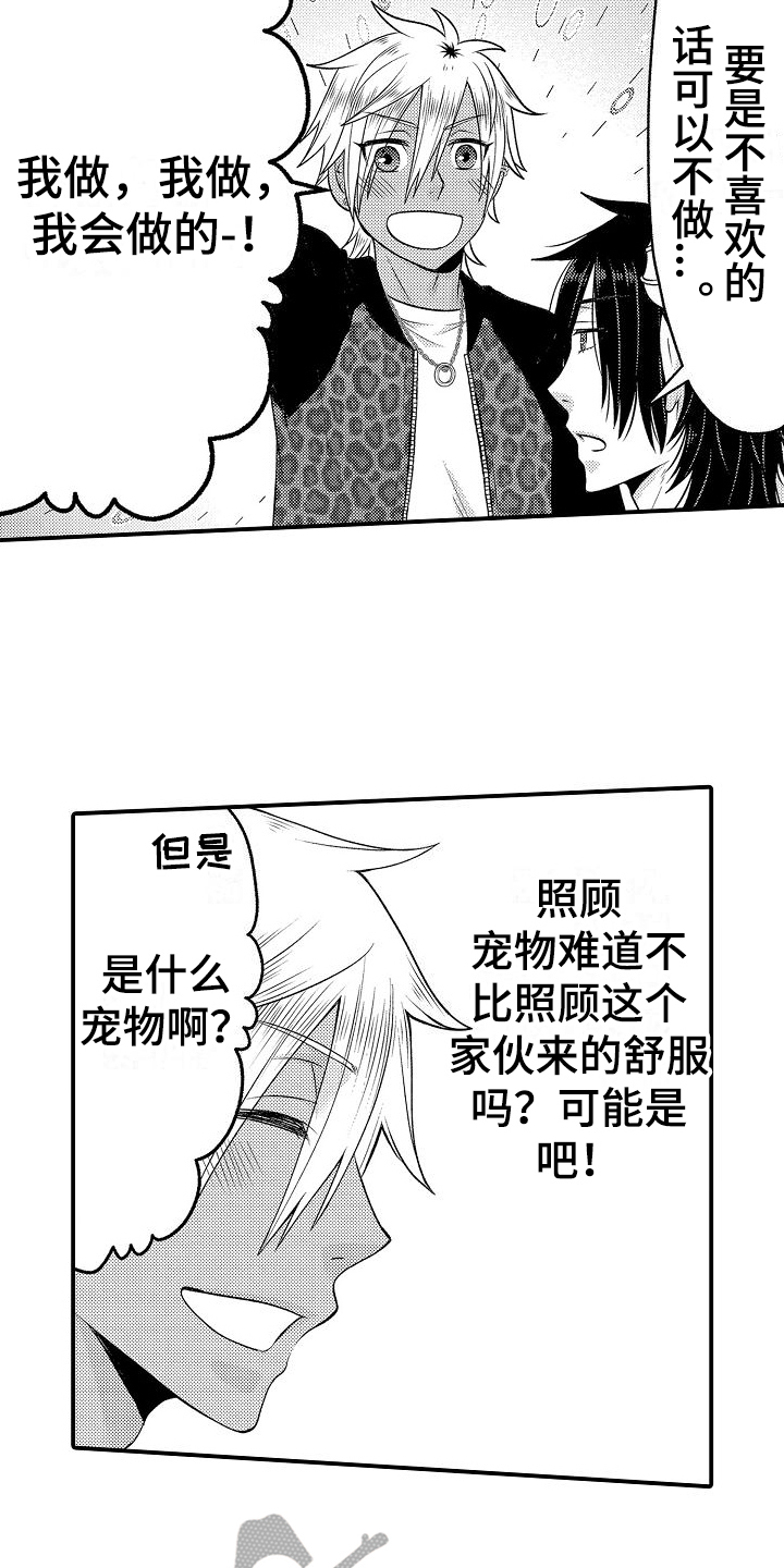 第9章：宠物4