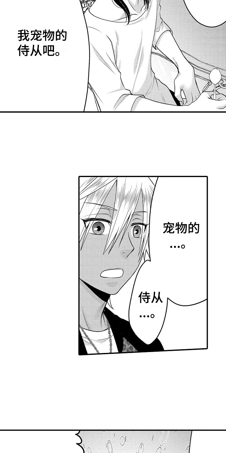 第9章：宠物3