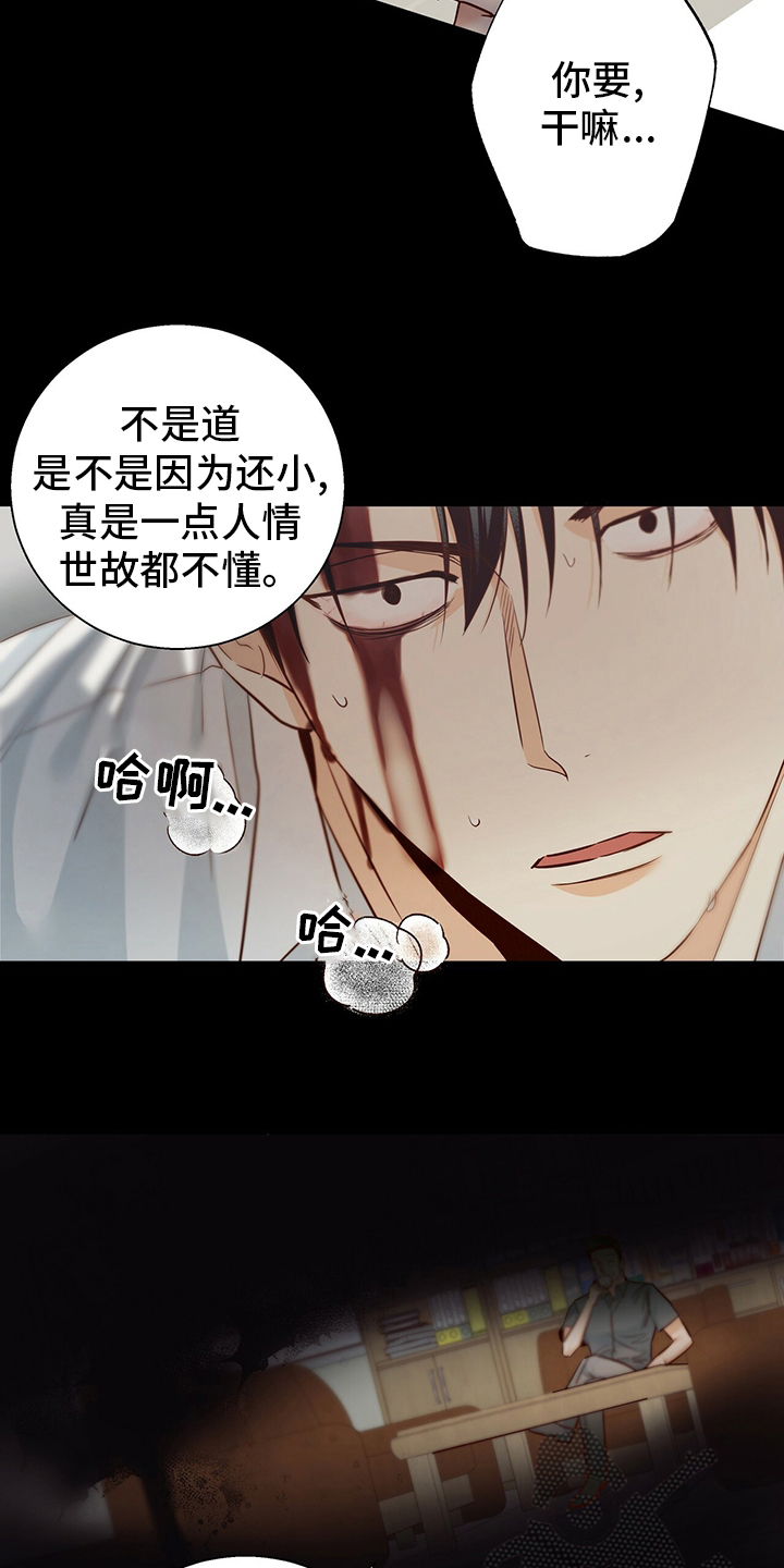 第115章：【番外】运气4