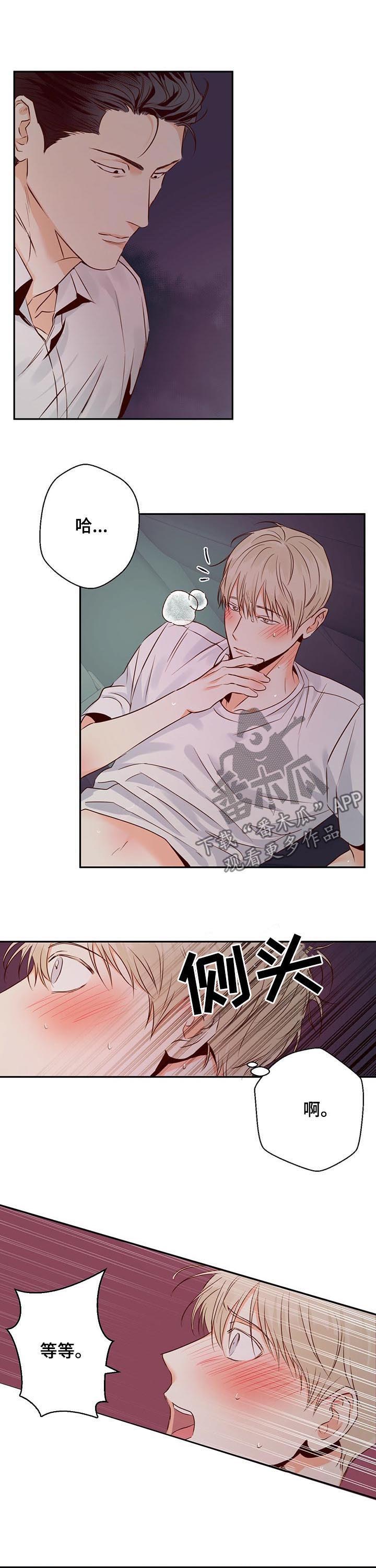 第39章：真容易2