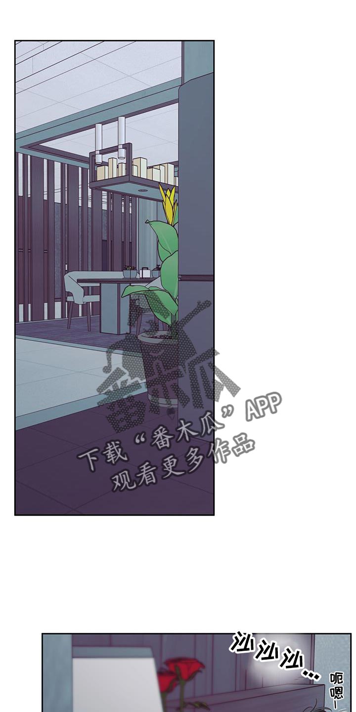 第178章：【番外】膝枕0