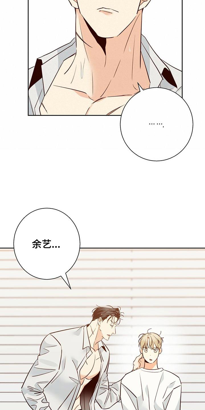 第164章：【第三季】唯一的安慰4