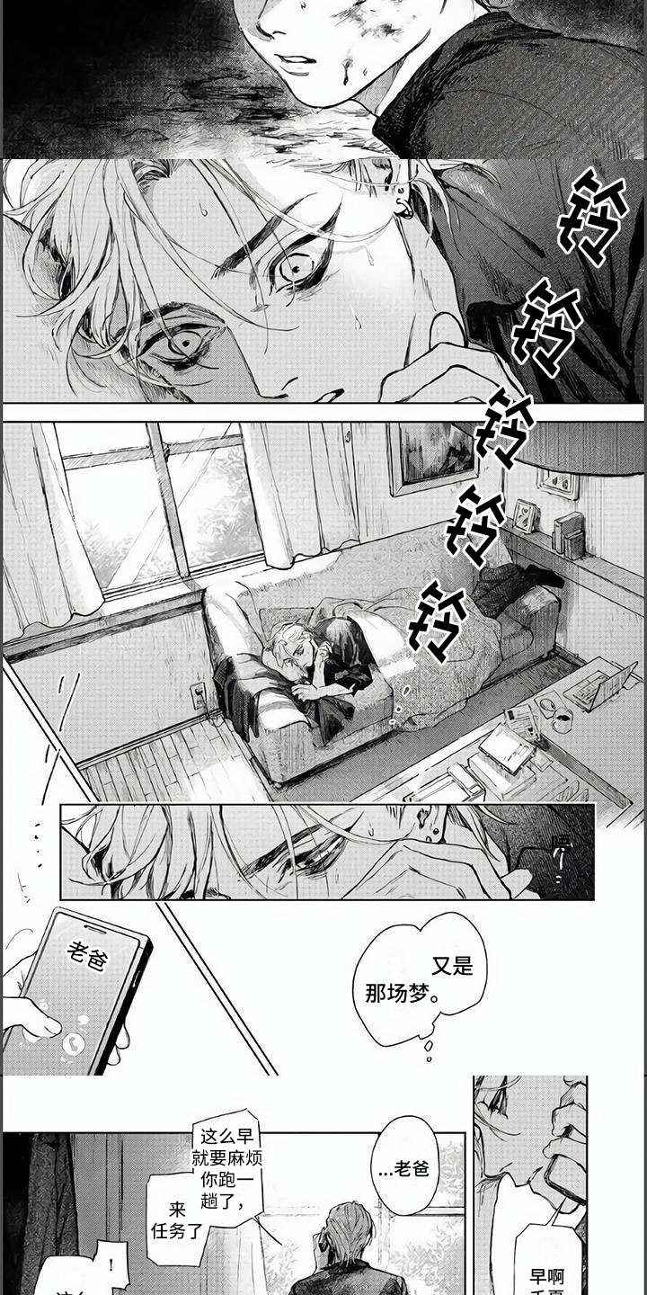 第1章：命定的相遇2