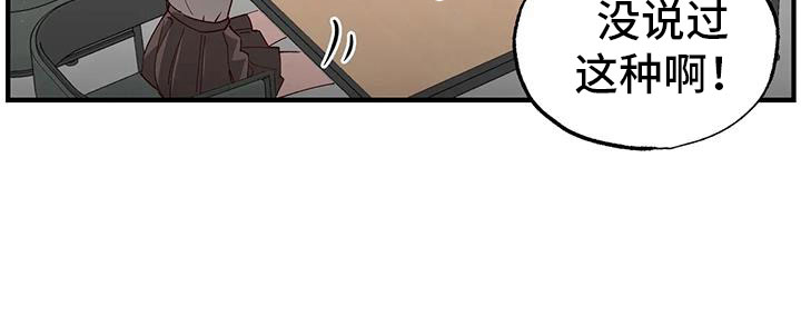 第42章：又要赢了0