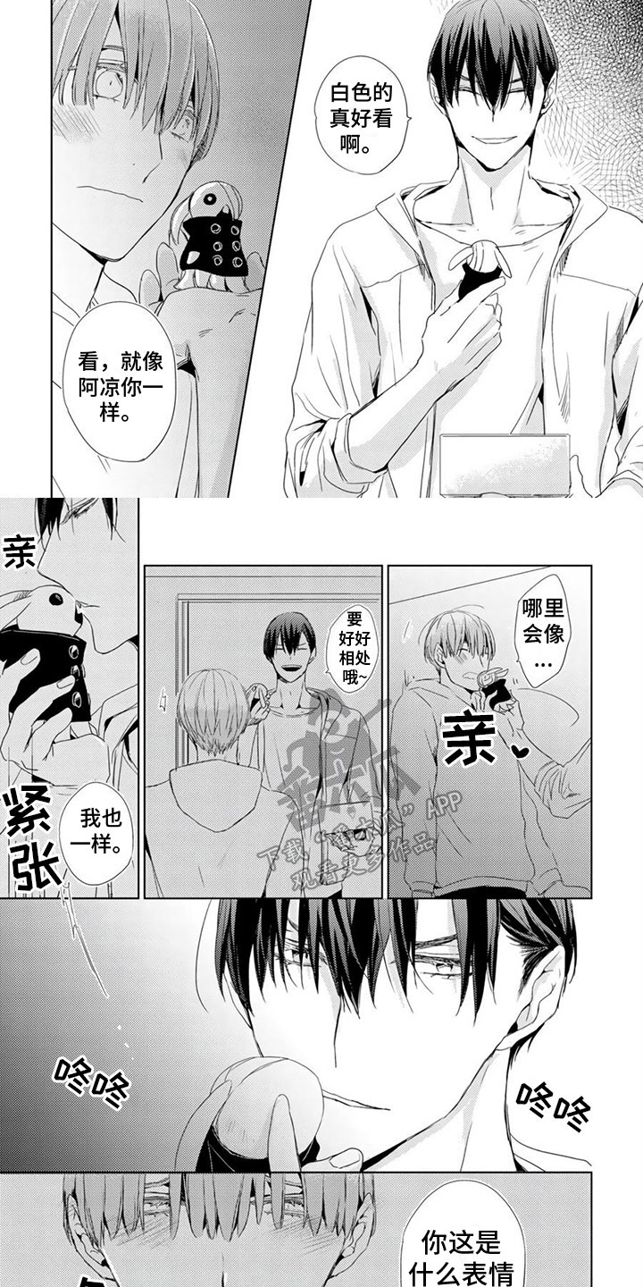 第11章：成为朋友1