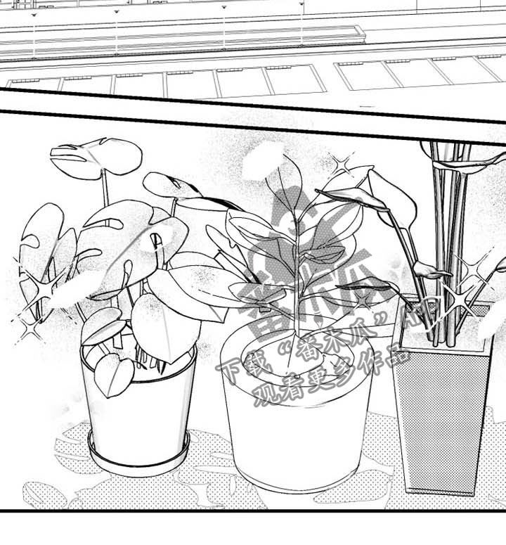 第37章：禁严令4