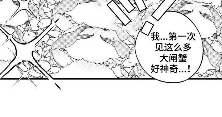 第41章：大闸蟹3