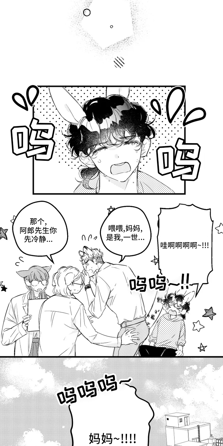 第33章：找妈妈4