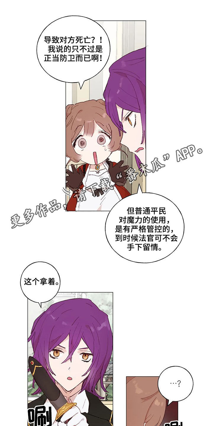 第26章：虚张声势0