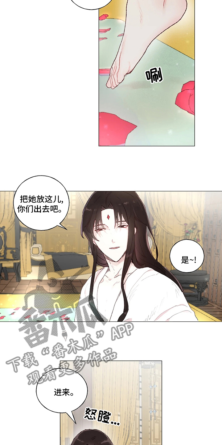 第39章：必须当上王1