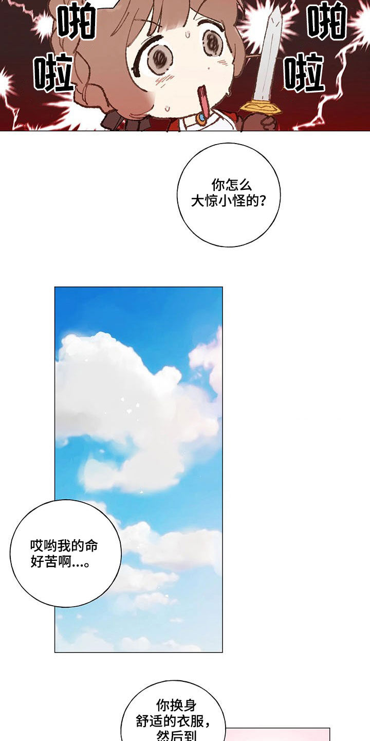 第26章：虚张声势2