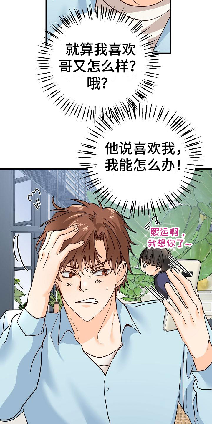 第17章：理想型2