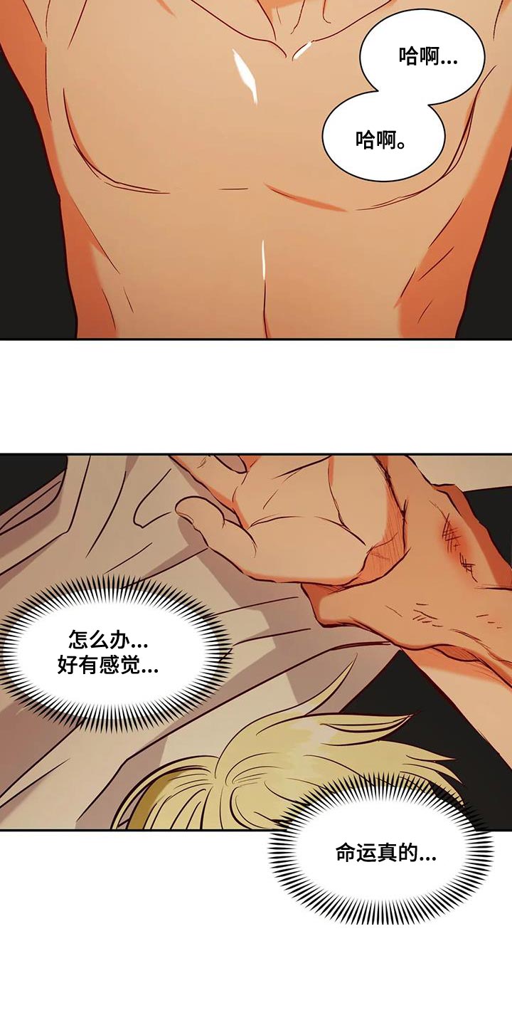 第20章：用钱补偿我们1