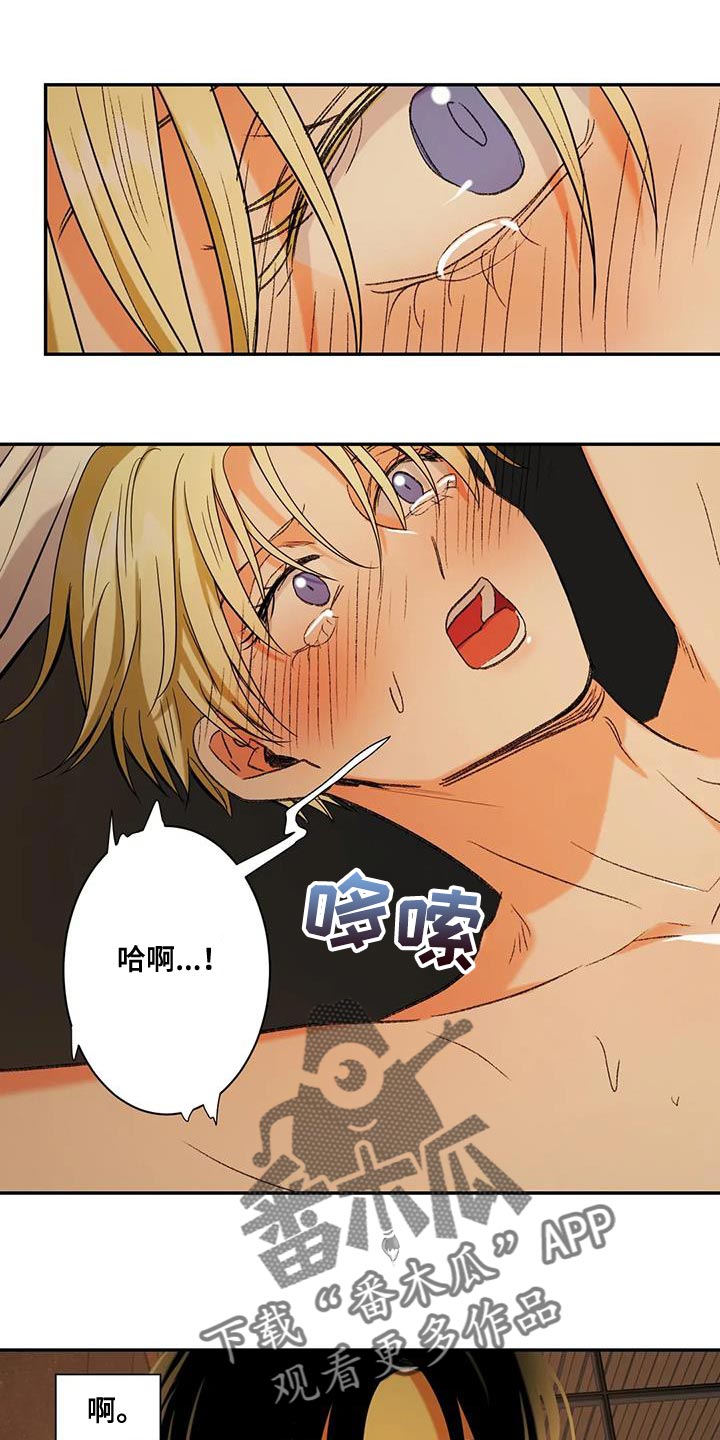 第20章：用钱补偿我们2