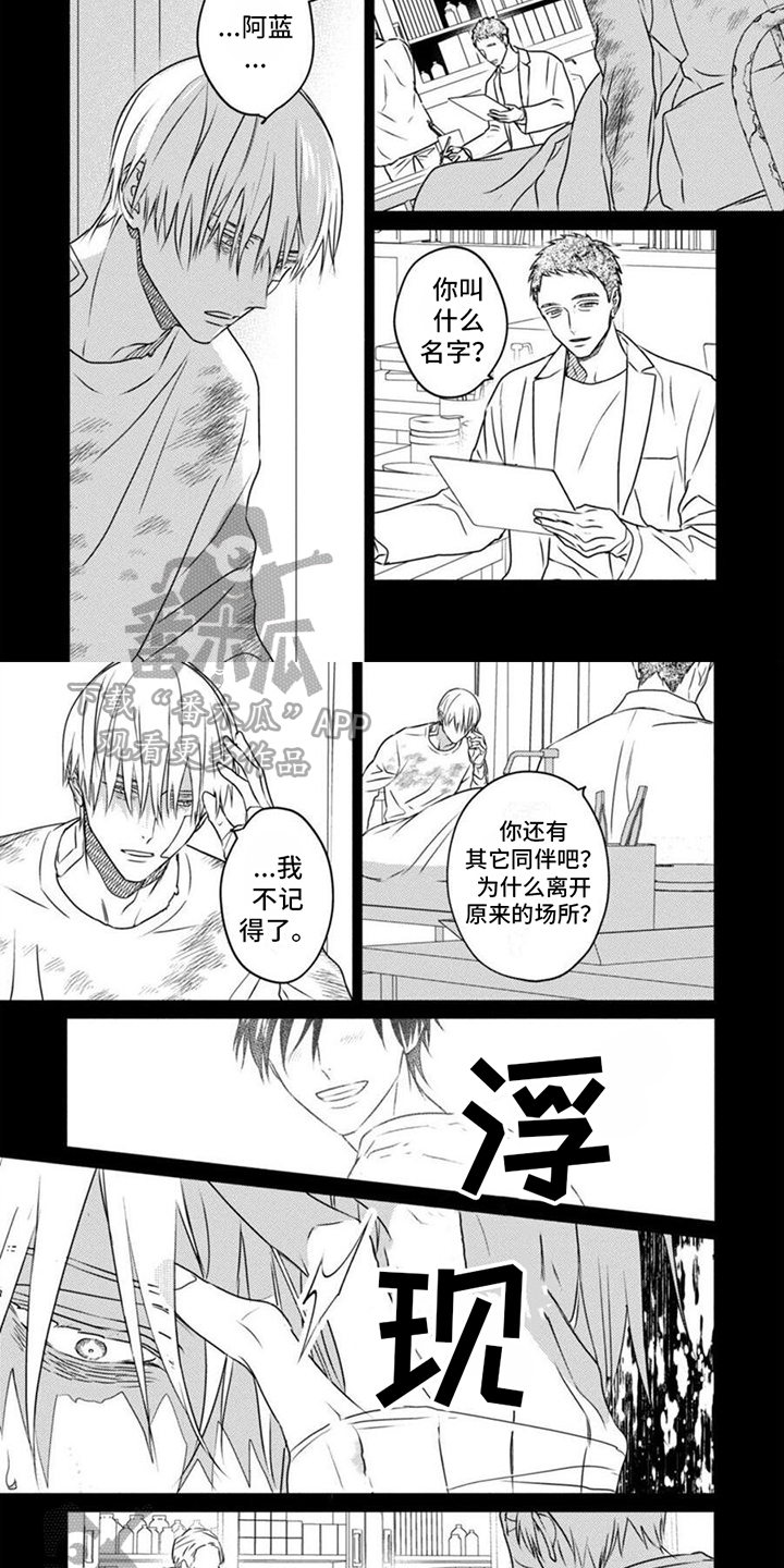 第43章：记忆碎片1