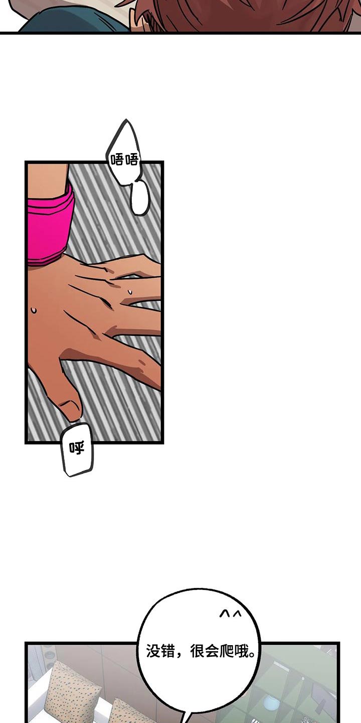 第71章：【番外】散步3