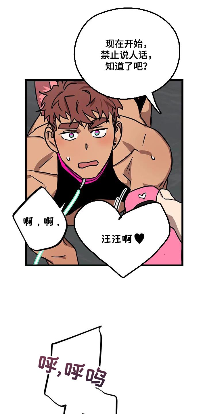 第71章：【番外】散步0