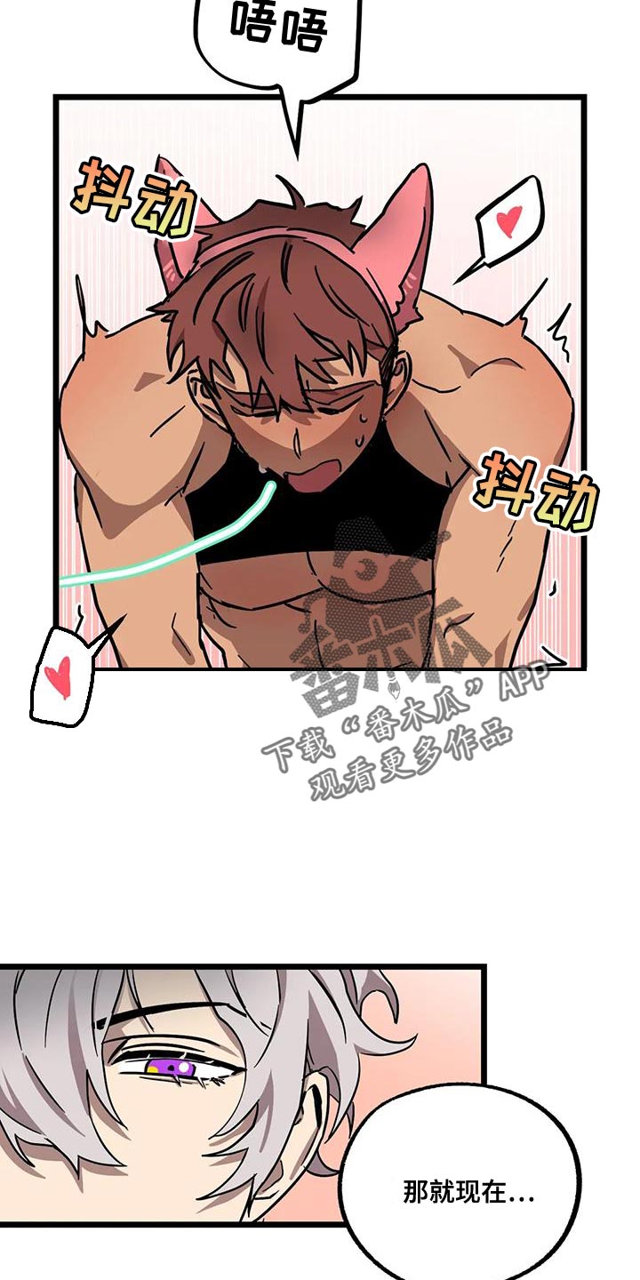 第71章：【番外】散步1