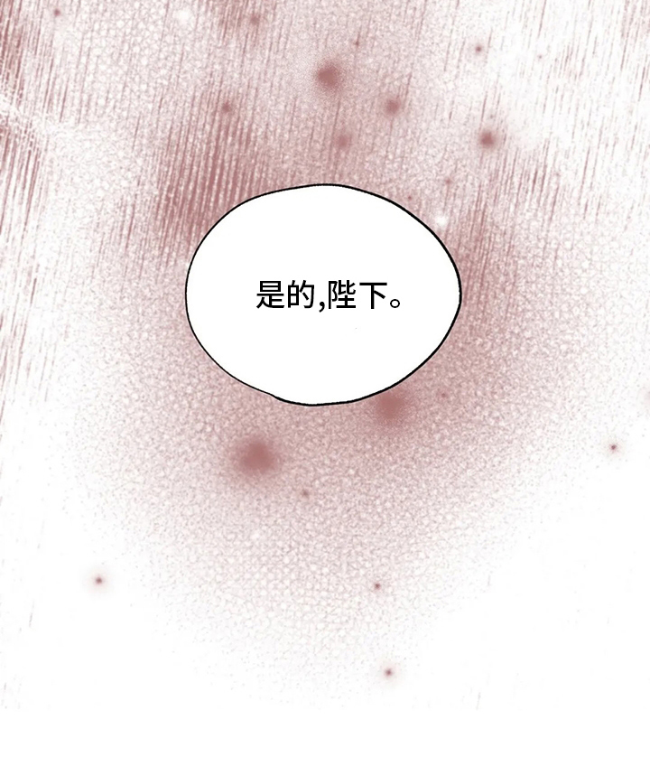第73章：王子0