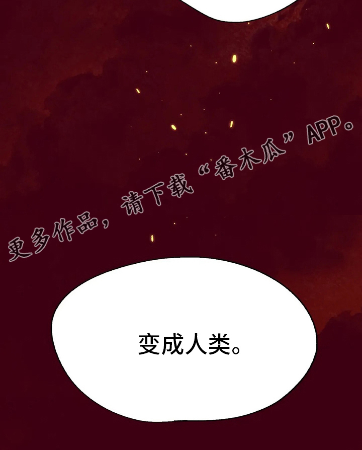 第75章：名字1