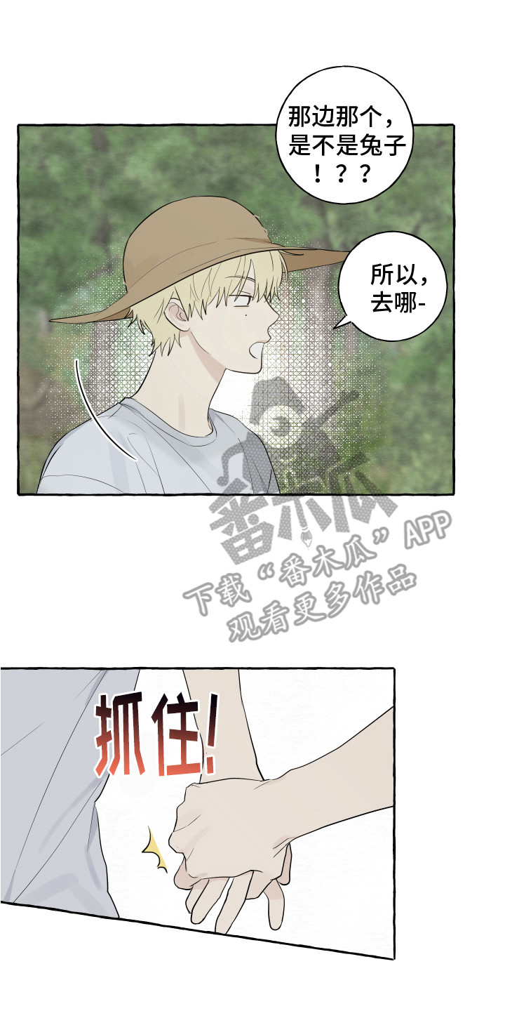 第13章：充满活力1