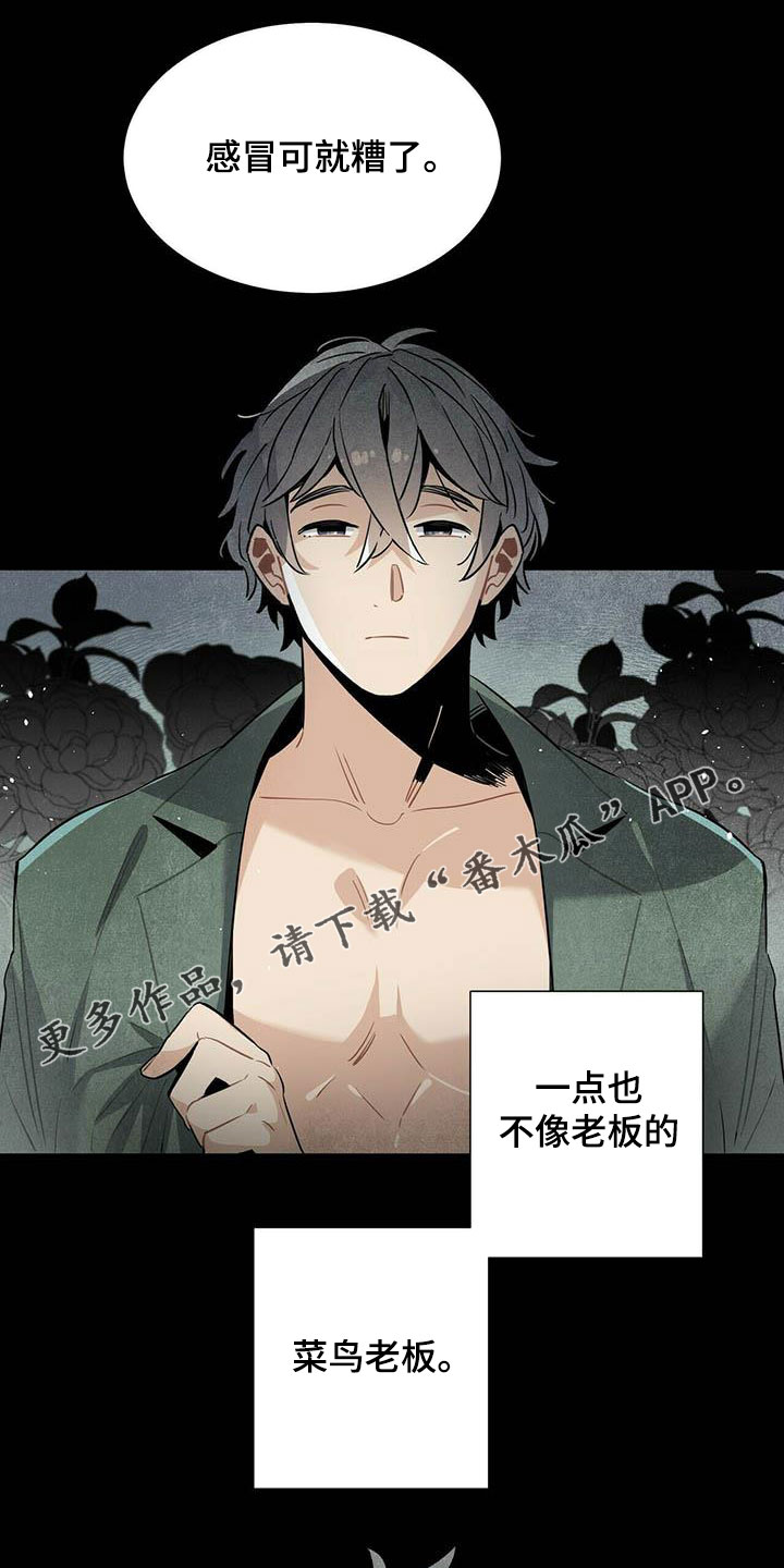 第50章：菜鸟老板0