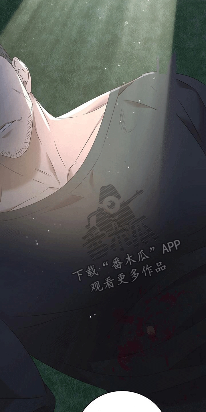 第15章：庇护3