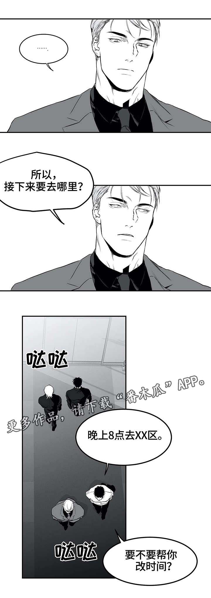 第19章：组织3