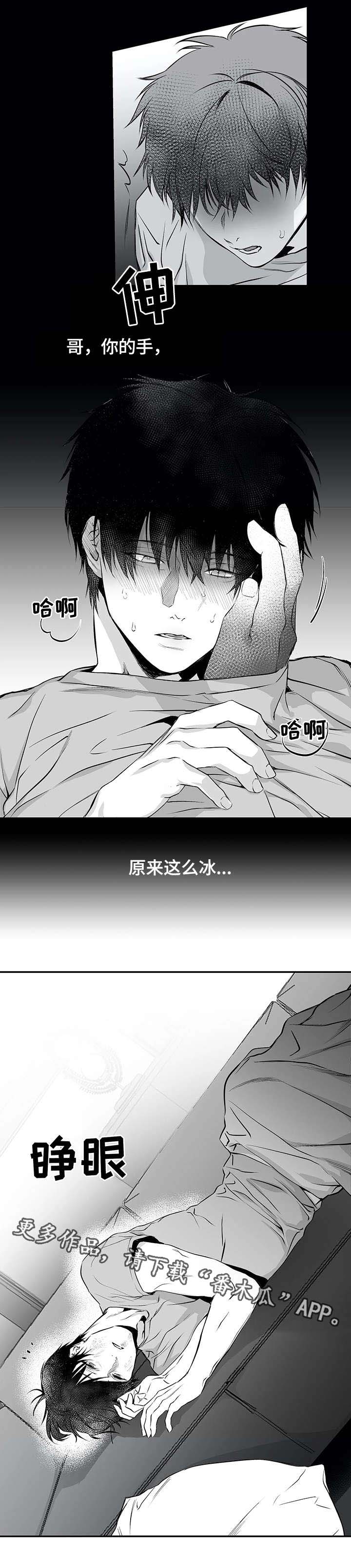 第19章：组织0