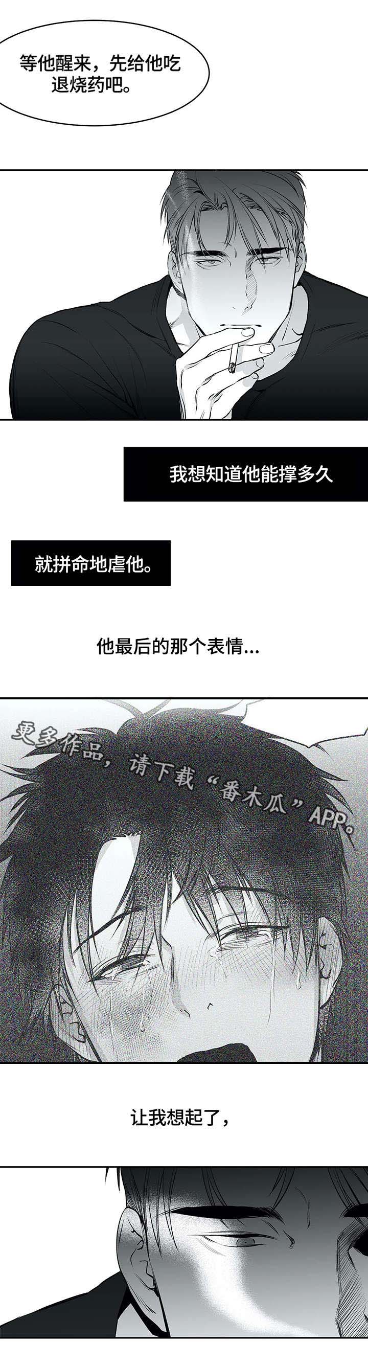 第28章：毒蛇3
