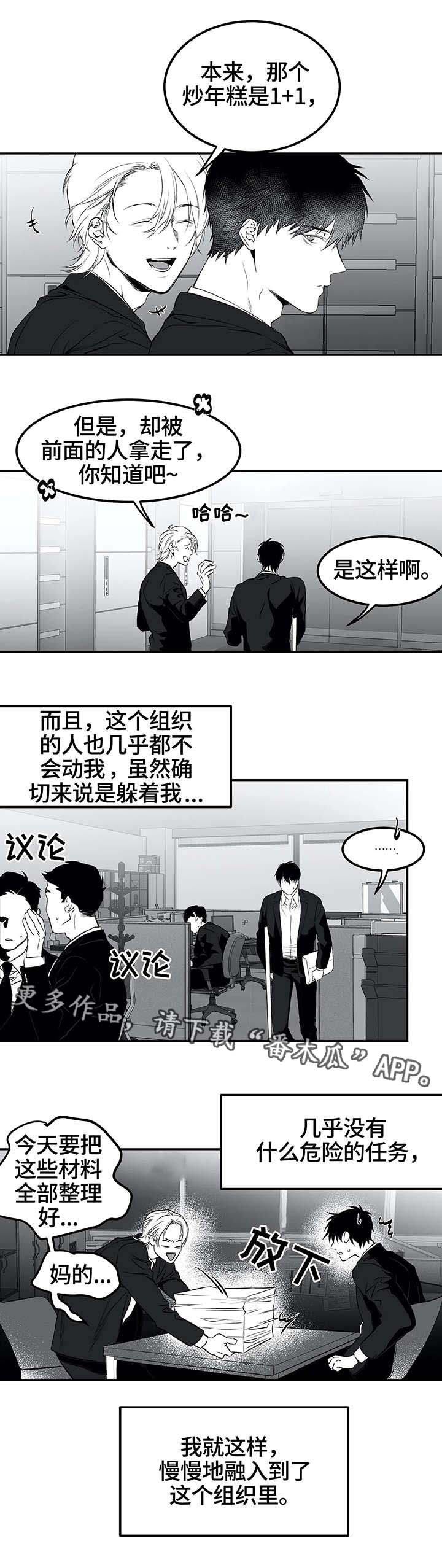 第19章：组织4