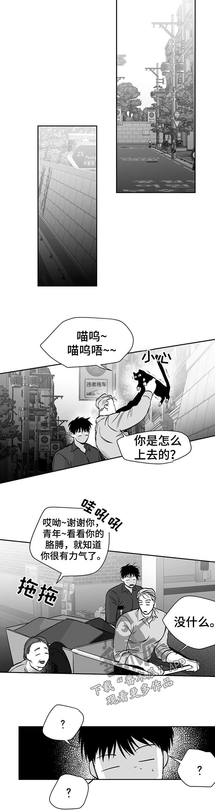 第78章：更重要的东西2