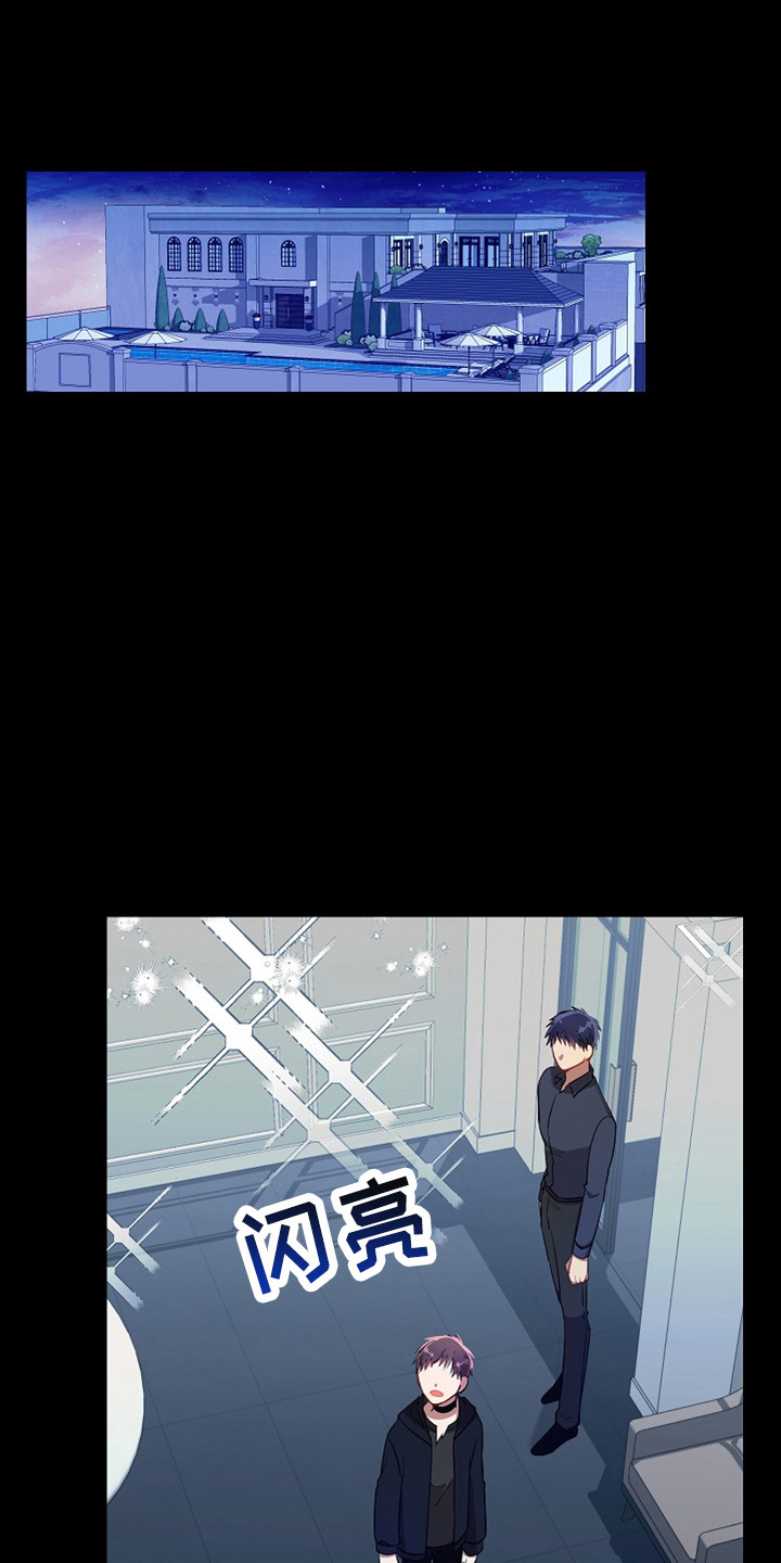 第24章：小猫咪0