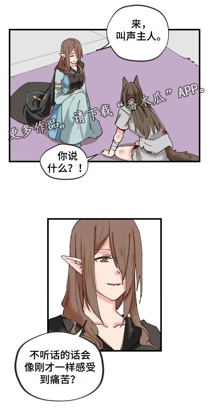 第7章：突然出现0