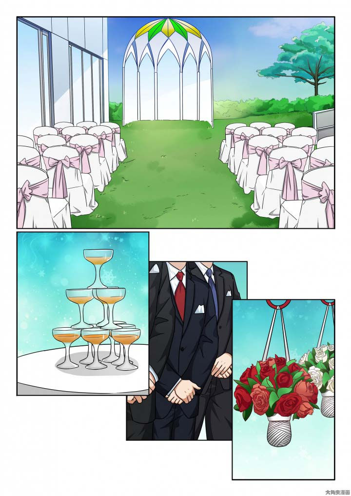 第136章：晓飞媚妍大婚0