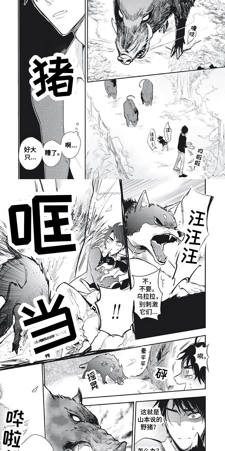 第3章：遭遇险境4