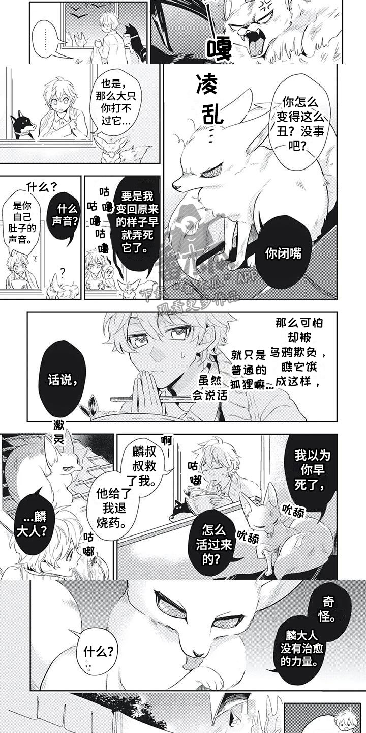 第39章：投喂小狐狸1