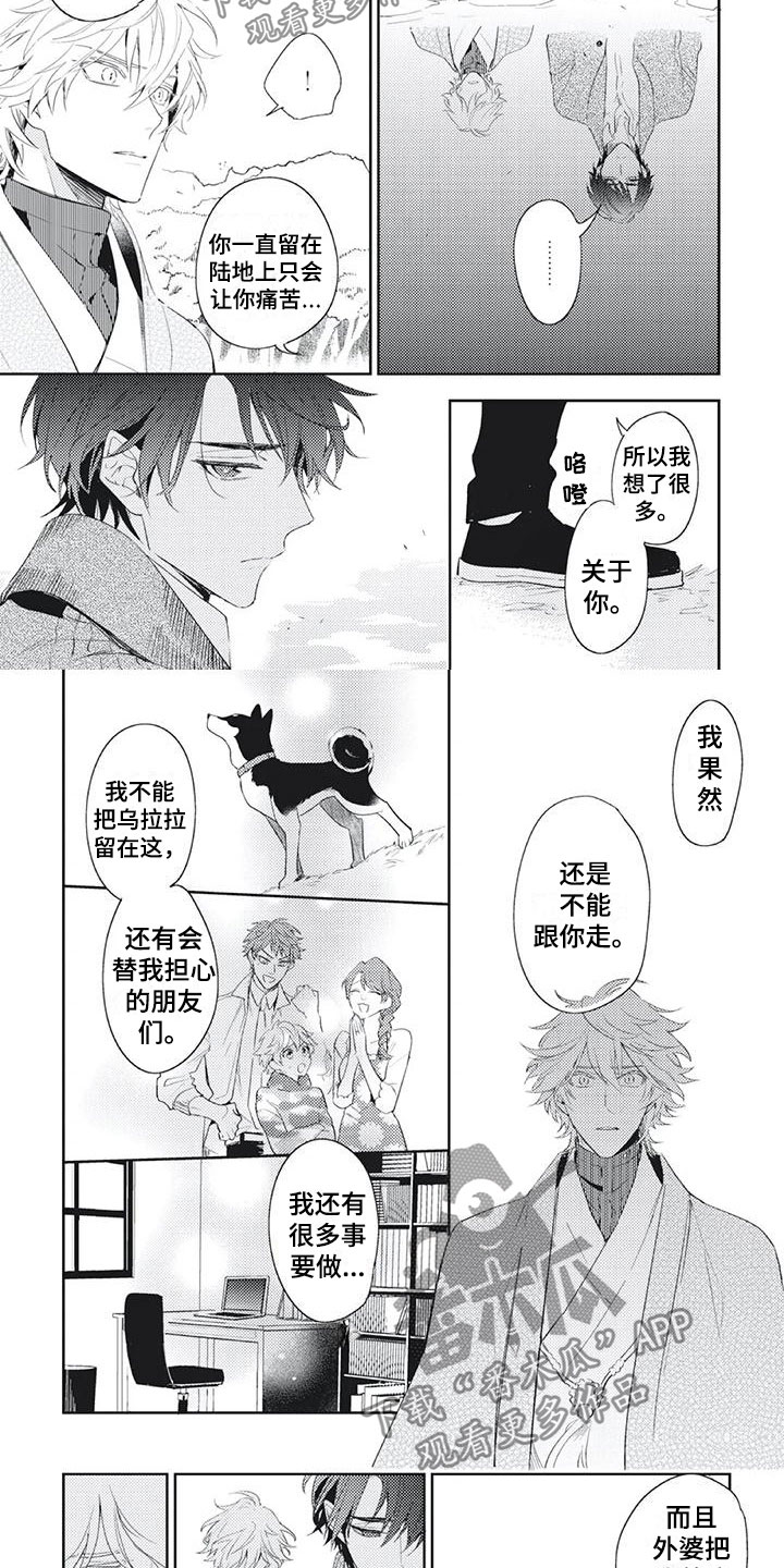 第53章：寻找办法2