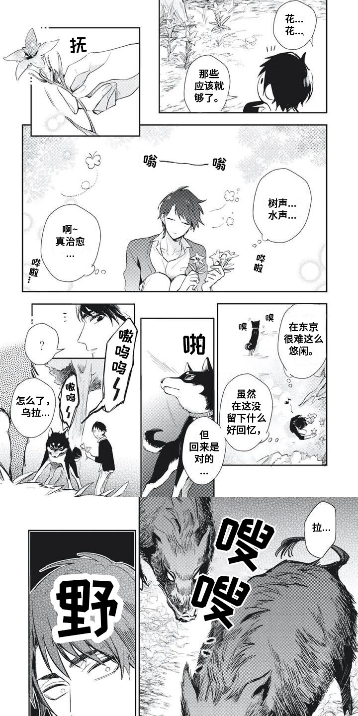 第3章：遭遇险境3