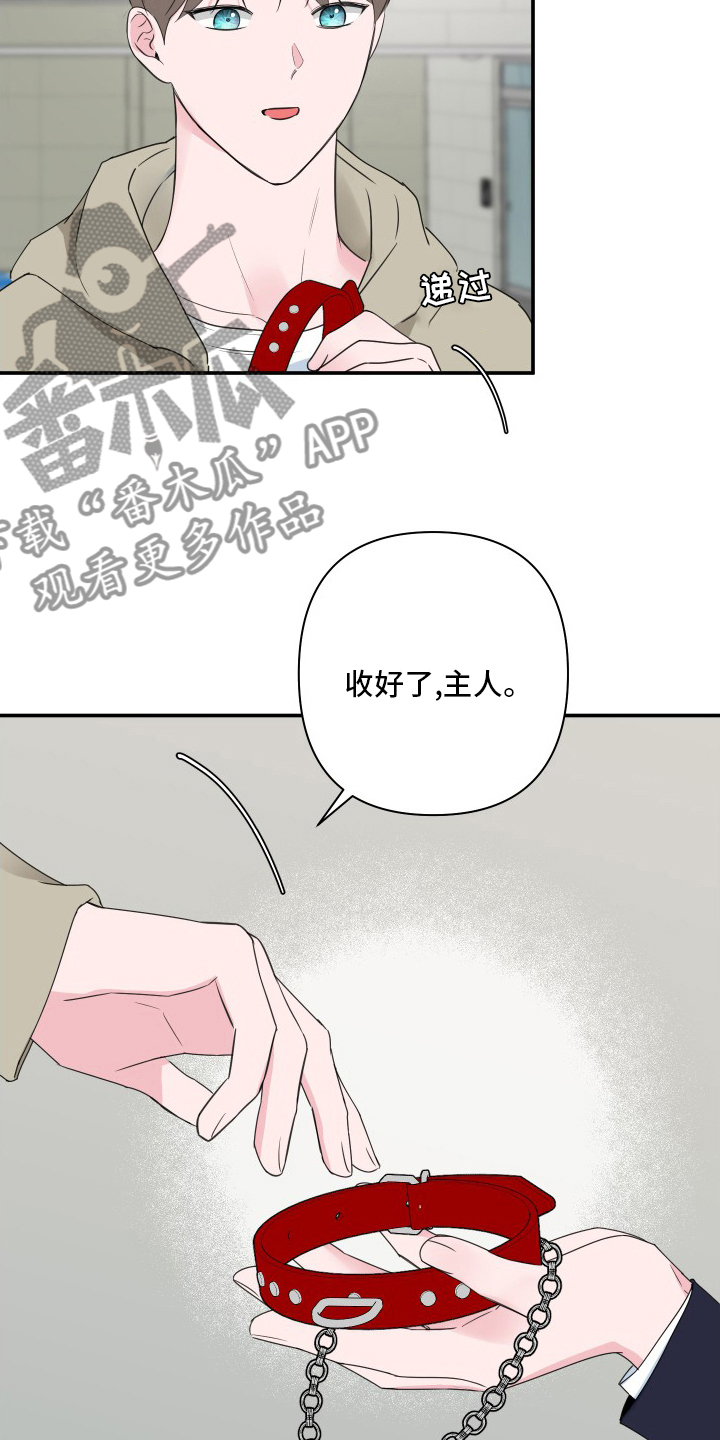 第54章：【第二季】恼火2