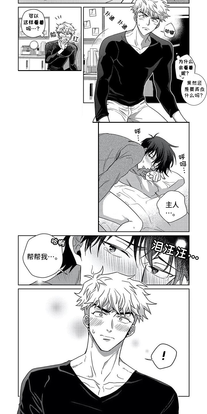 第13章：新玩法2