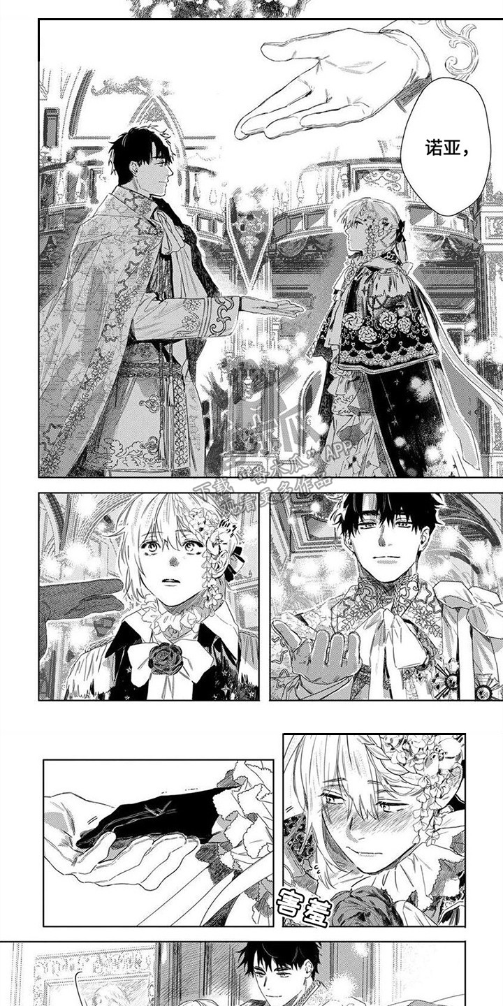 第15章：闪闪发光4