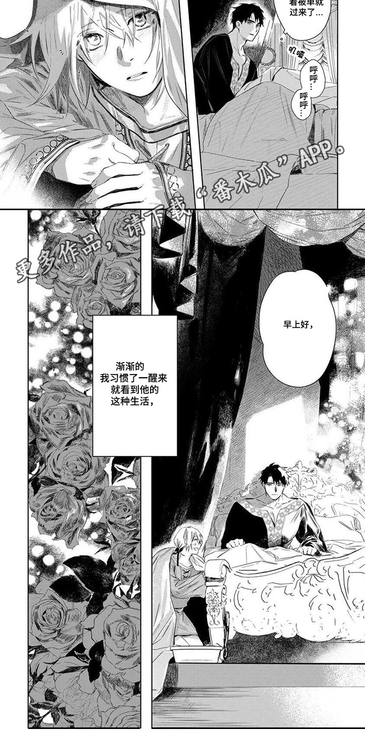 第7章：逐渐习惯4