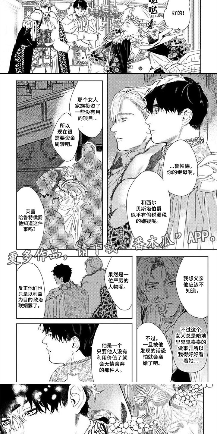 第15章：闪闪发光1