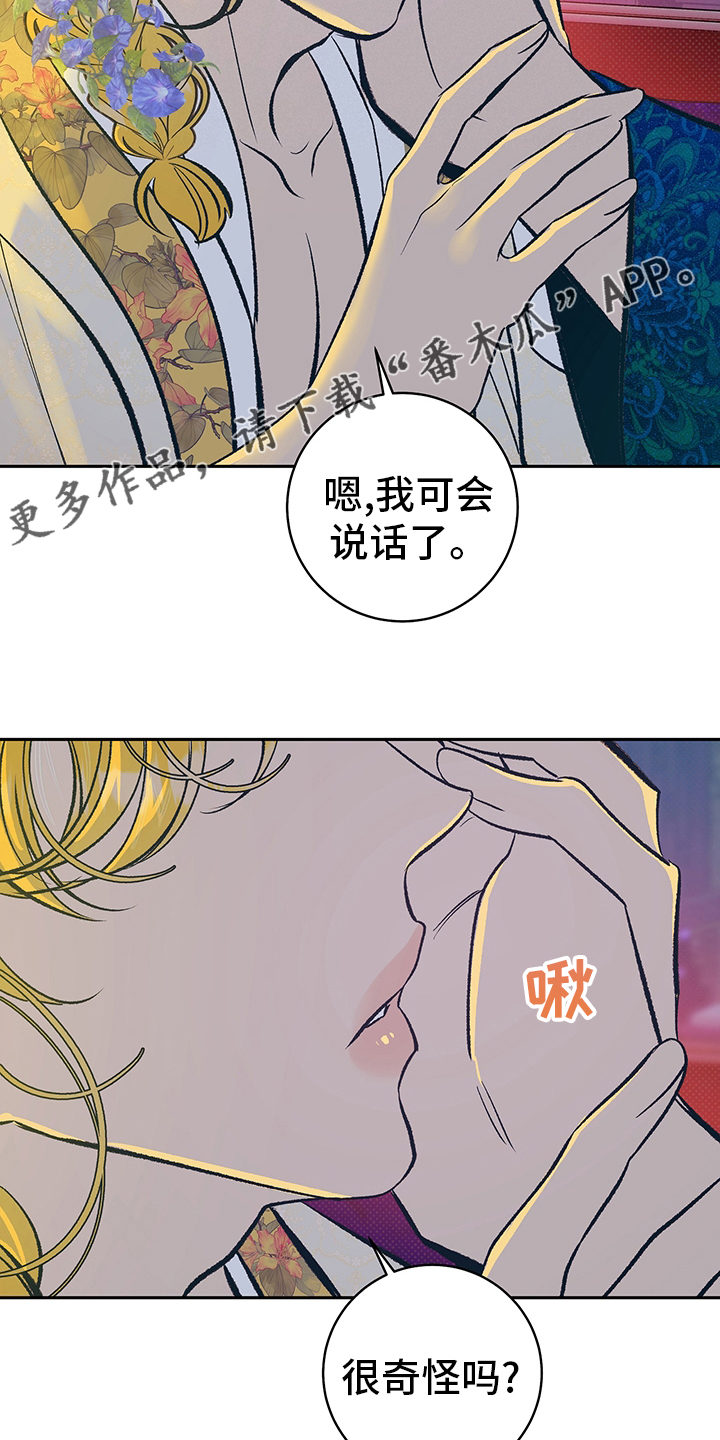 第25章：又开始了1