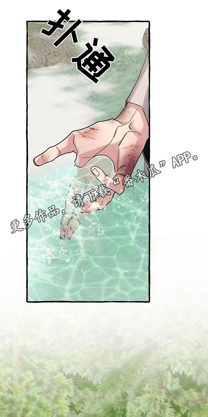 第141章：风水宝地0